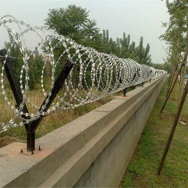 Razor wire
